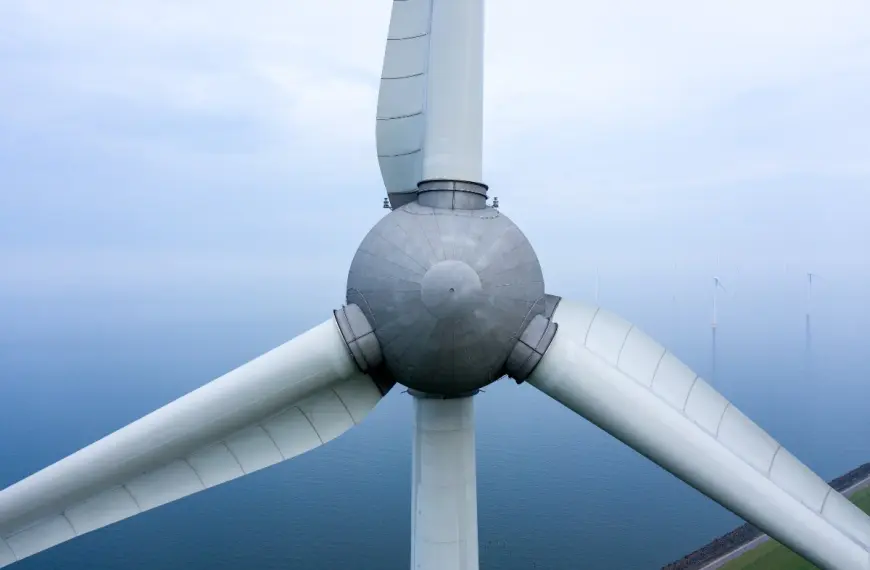 Paola Basaure energías renovables Chile