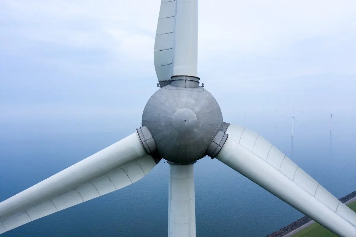 Paola Basaure energías renovables Chile