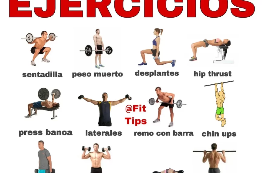 Ejercicios para ganar músculo: alternativas esenciales