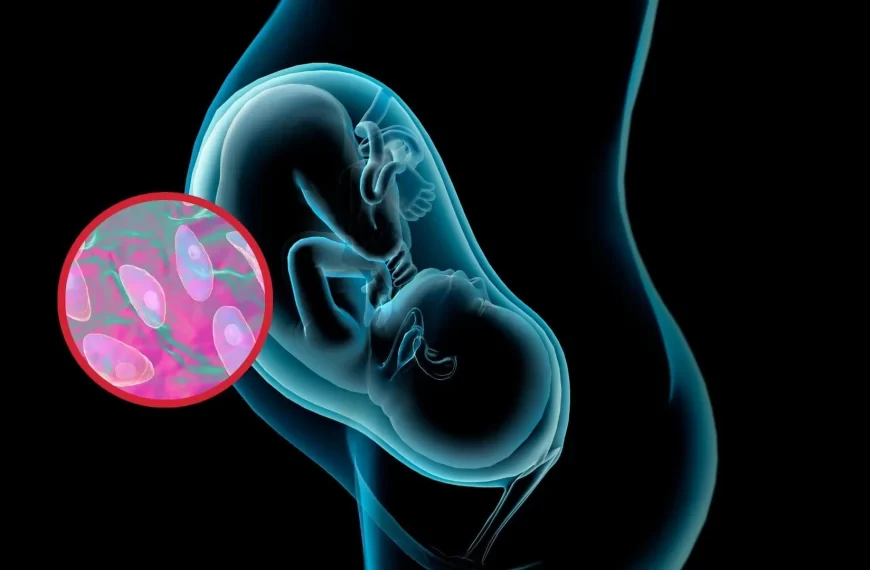 Toxoplasmosis Congénita: Riesgos y Prevención en Embarazos