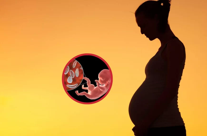Toxoplasmosis Durante el Embarazo: Prevención y Riesgos