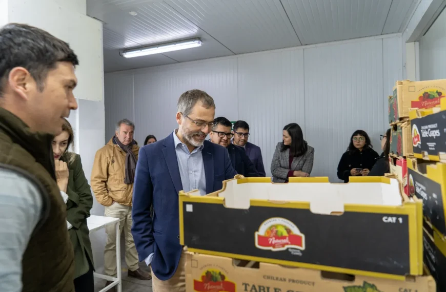 Exportaciones Chilenas: Convocatoria Abierta de ProChile