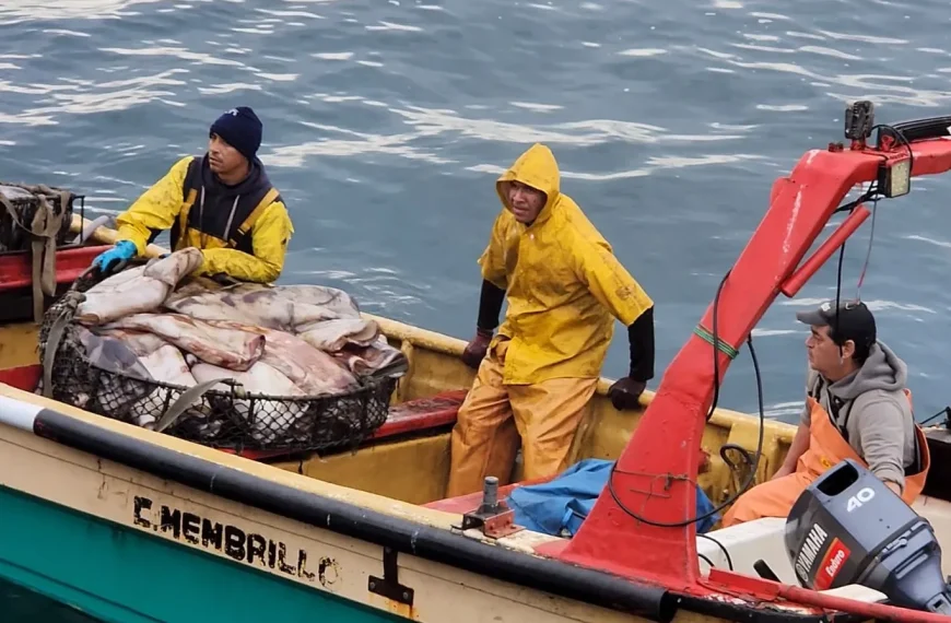 Fondos Concursables Pesca: Convocatorias Abiertas 2023