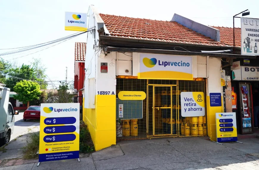 Descuentos en Gas Licuado: Ahorra en Cilindros en Chile