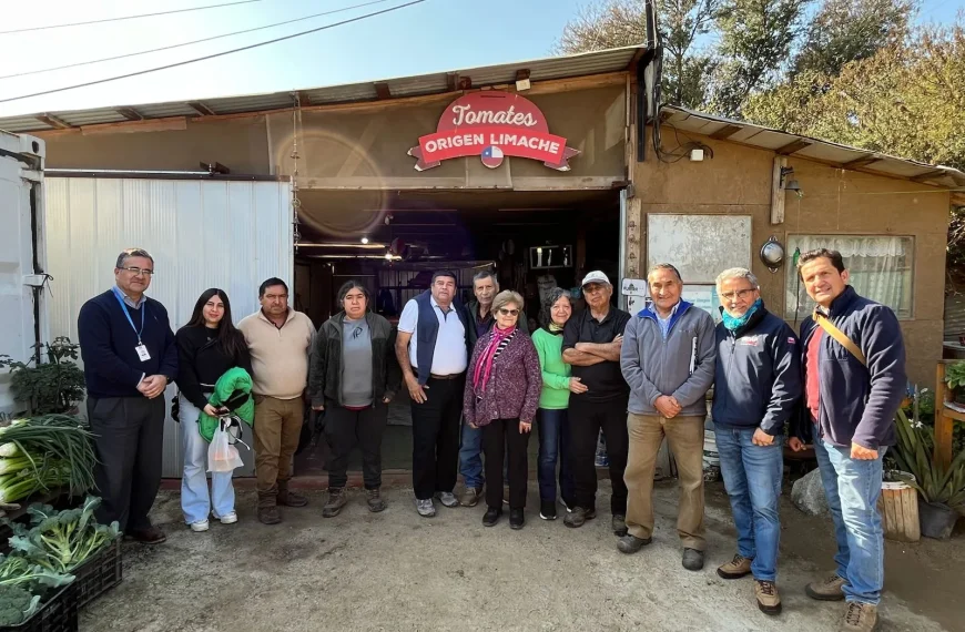 Cooperativas en Valparaíso: Impulso al Emprendimiento