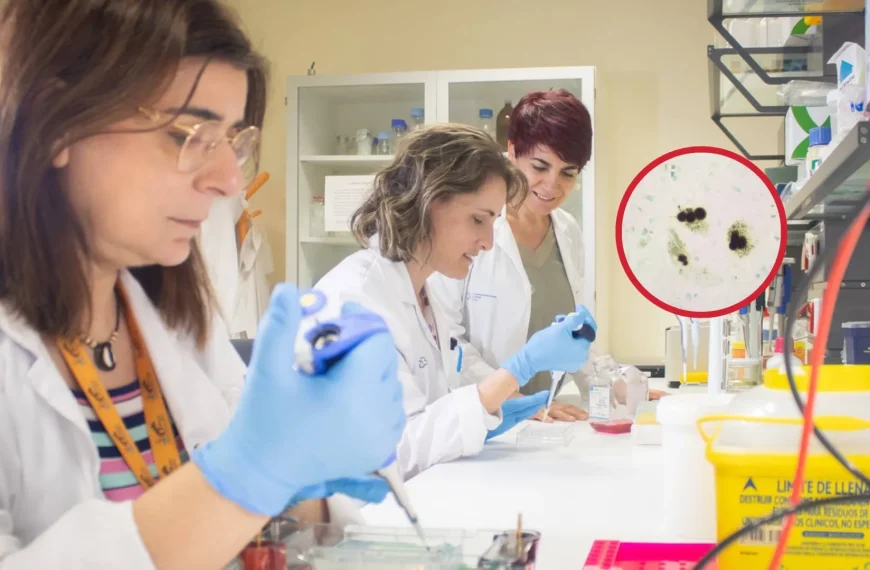 Biobancos: Pilares de la Investigación Biomédica Moderna