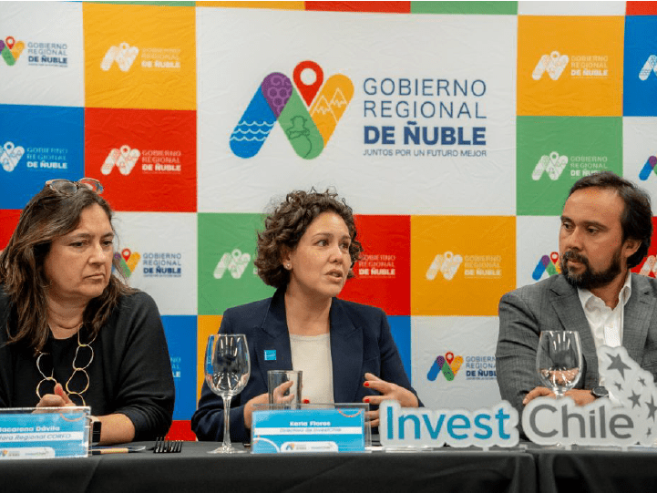 Inversión extranjera en Ñuble: Oportunidades y desafíos
