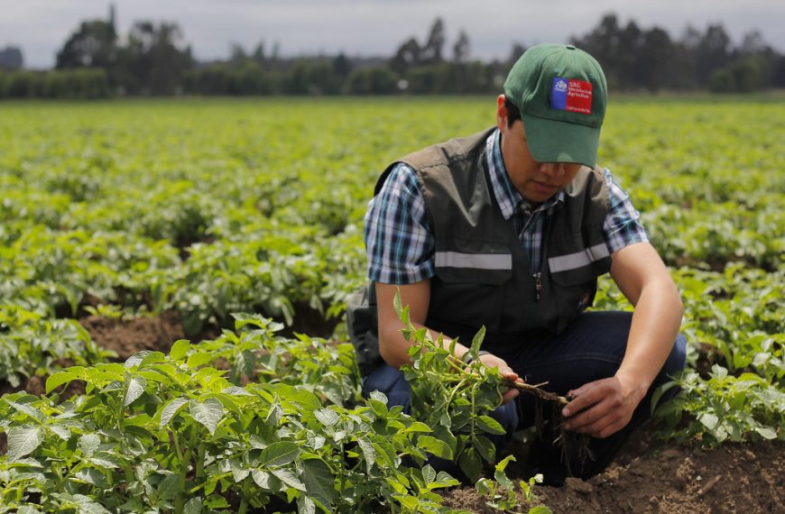 Acuerdo de Equivalencia de Productos Orgánicos entre Chile y la UE