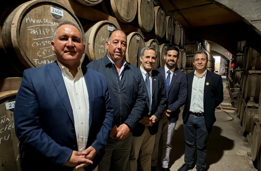 Pisco chileno: Fortaleciendo la industria pisquera en Coquimbo