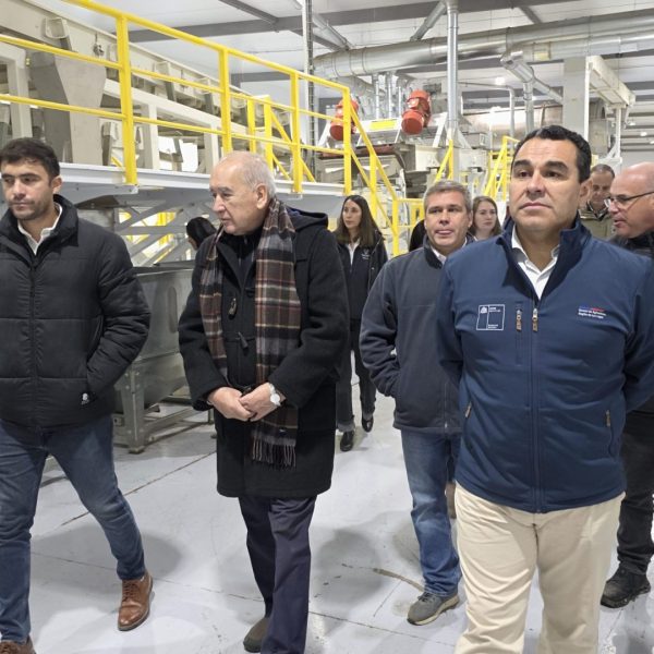Avellano Europeo: Revolucionando el Procesamiento Agroindustrial en Chile