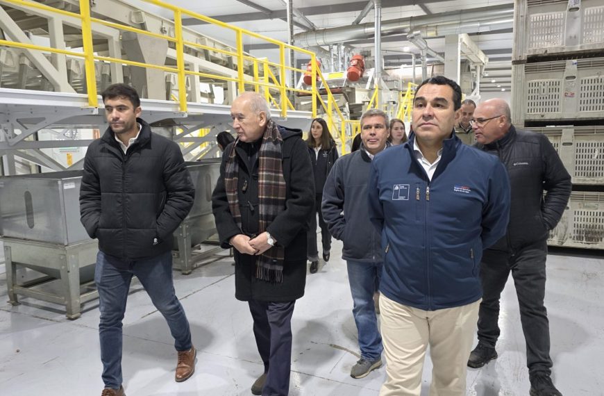 Avellano Europeo: Revolucionando el Procesamiento Agroindustrial en Chile