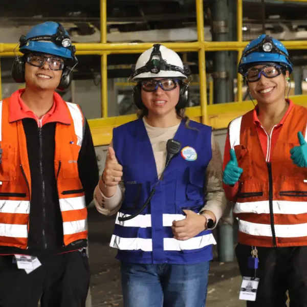 Quiénes trabajan en Arauco: los perfiles detrás de la industria forestal