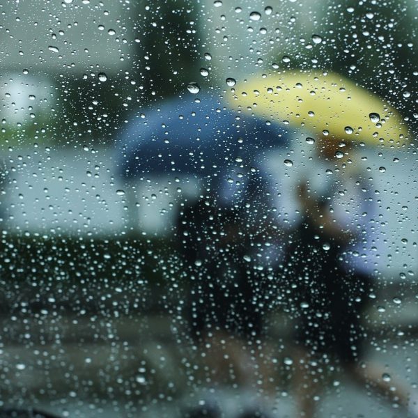 Seguros de invierno: Preparación esencial ante los sistemas frontales