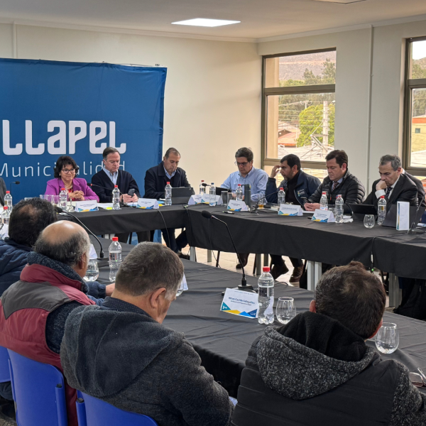 Reactivación minería pequeña: Recursos y apoyos en Coquimbo