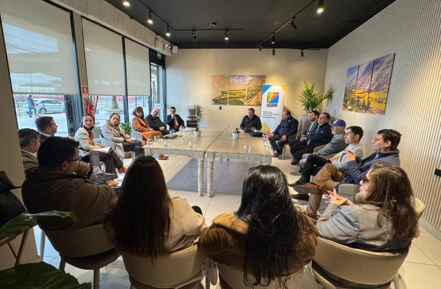 Reactivación económica: Estrategias para mipymes en Coquimbo