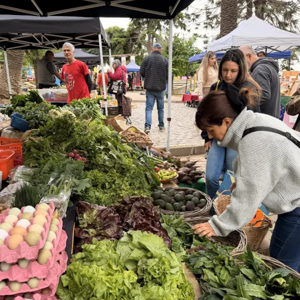 Mercado Campesino Valparaíso: Una Conexión Directa con el Campo