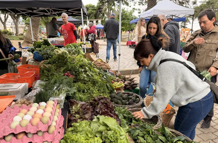 Mercado Campesino Valparaíso: Una Conexión Directa con el Campo