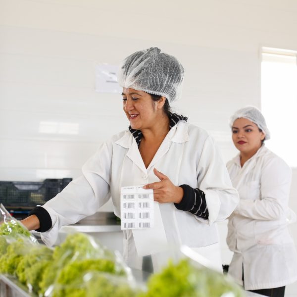 Crédito de Corto Plazo INDAP: ¿Cómo Acceder al Financiamiento para Agricultores?