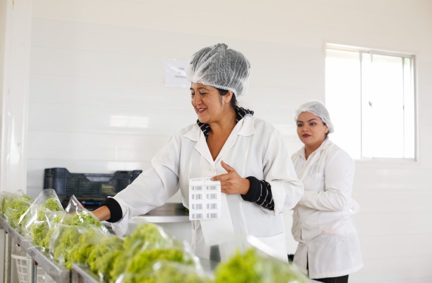 Crédito de Corto Plazo INDAP: ¿Cómo Acceder al Financiamiento para Agricultores?